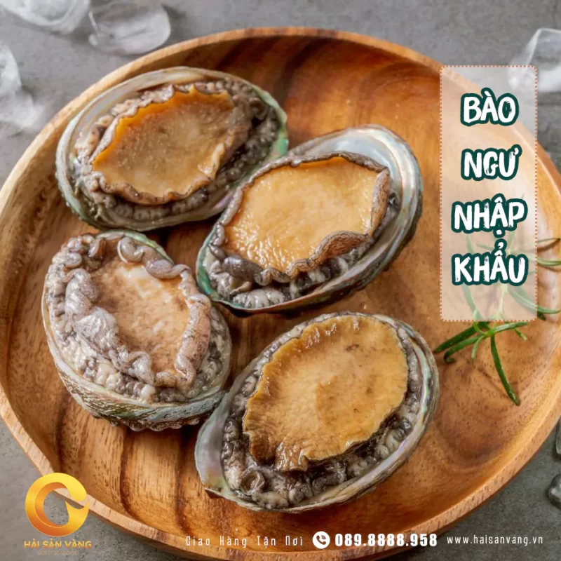 Bào ngư nhập khẩu