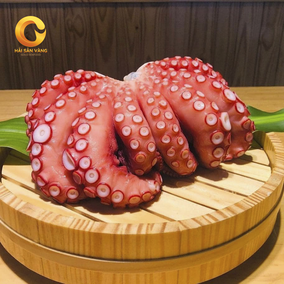 Bạch tuộc Đỏ