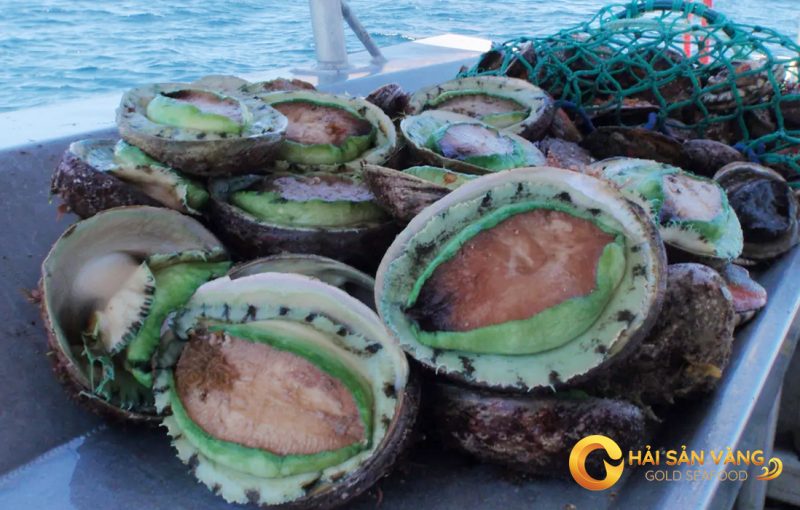 Bao ngu Uc Vien Xanh