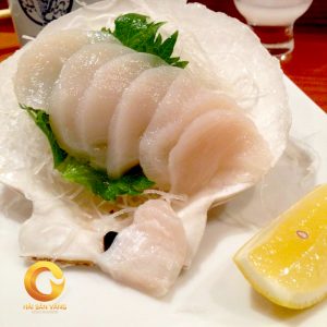 cồi điệp sashimi