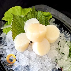 cồi điệp sashimi