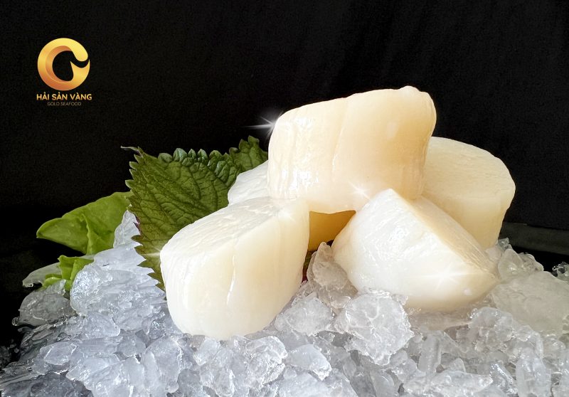 Cồi điệp nhật