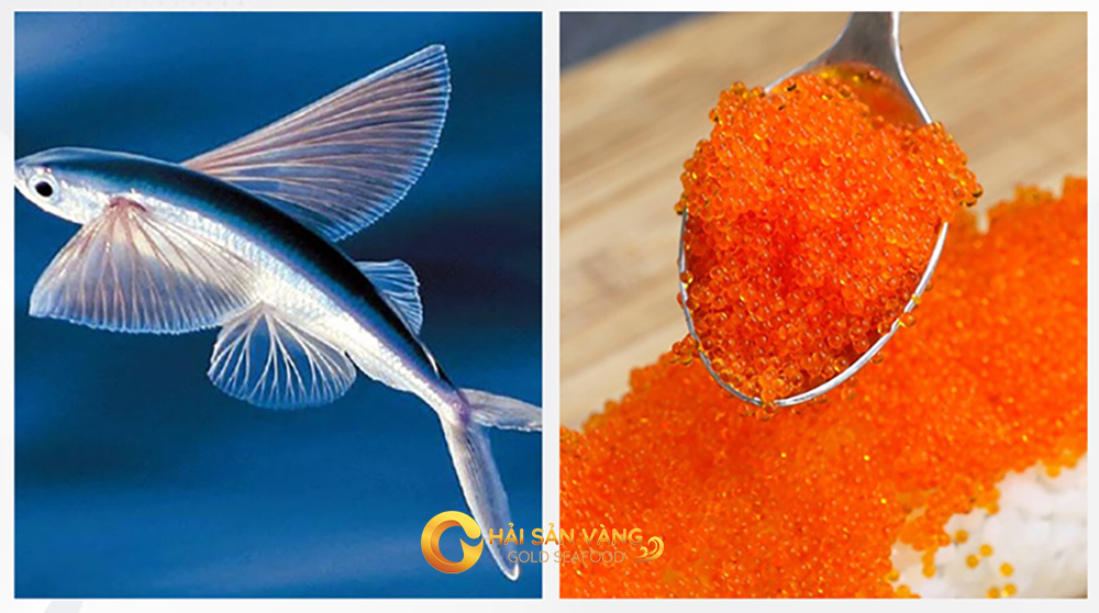 Trứng Cá Chuồn Tobiko