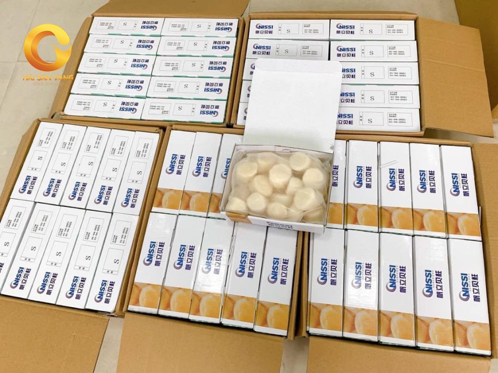 Cồi điệp nhật