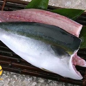 ca cam Hamachi