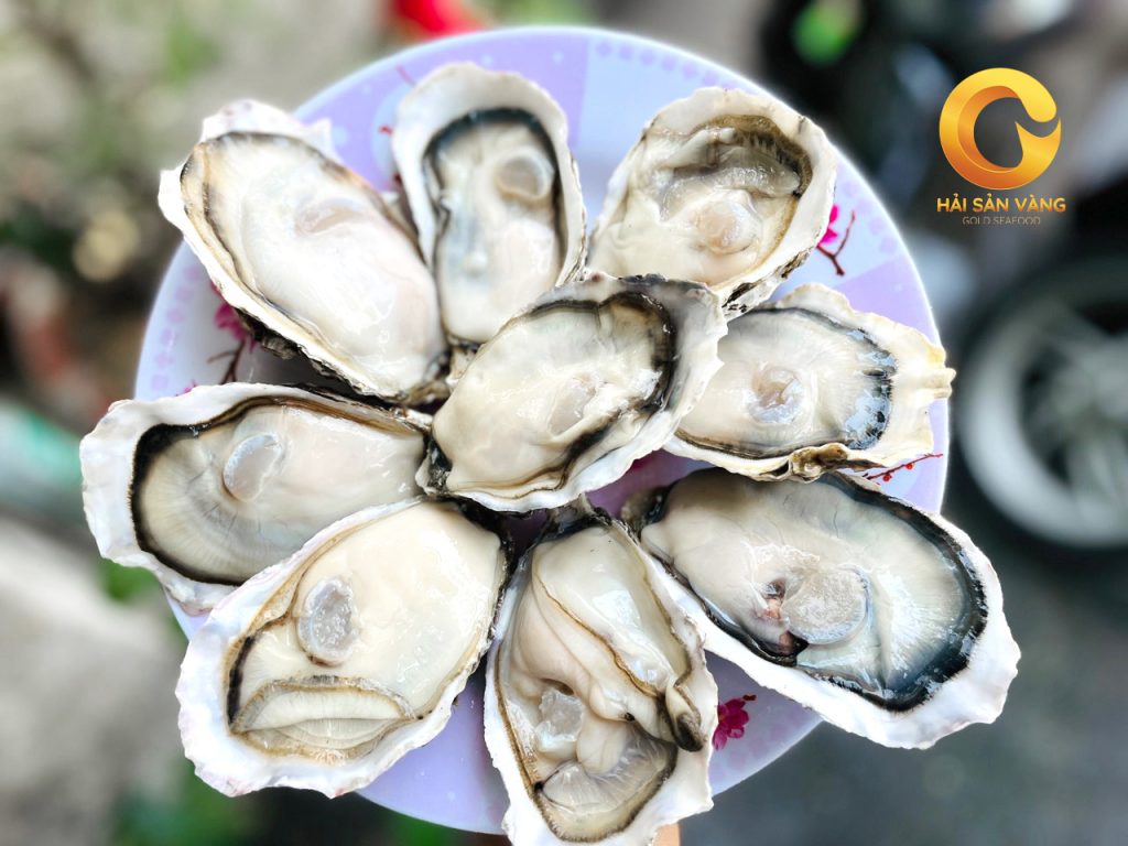 HÀU SỮA HÀN QUỐC