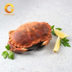 Cua Nâu anh quốc