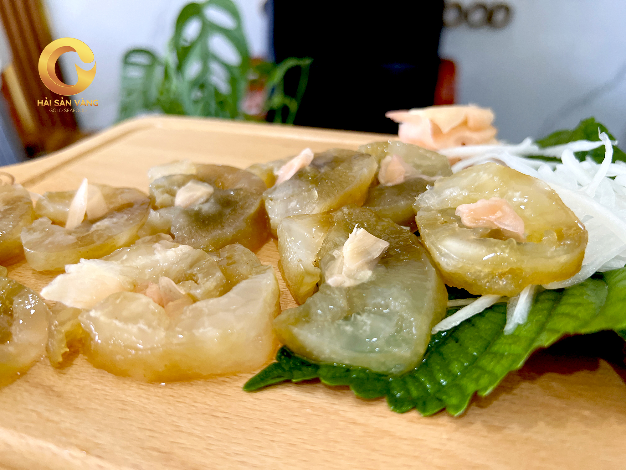 Hai sam gai vang sashimi