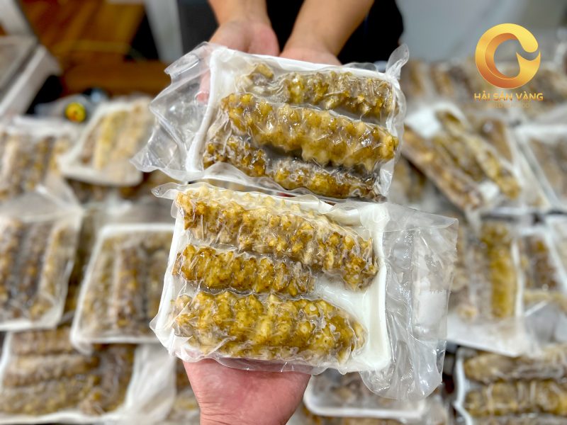 Hải sâm gai vàng