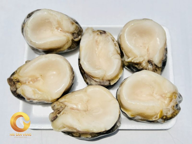 Bao ngu chi le