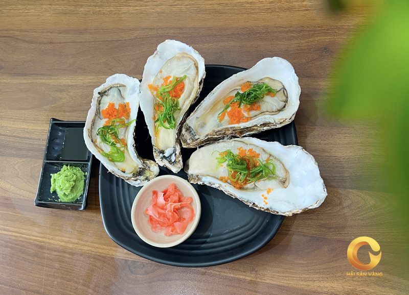 Hàu sữa nhật bản