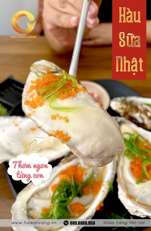 Hàu nhật to