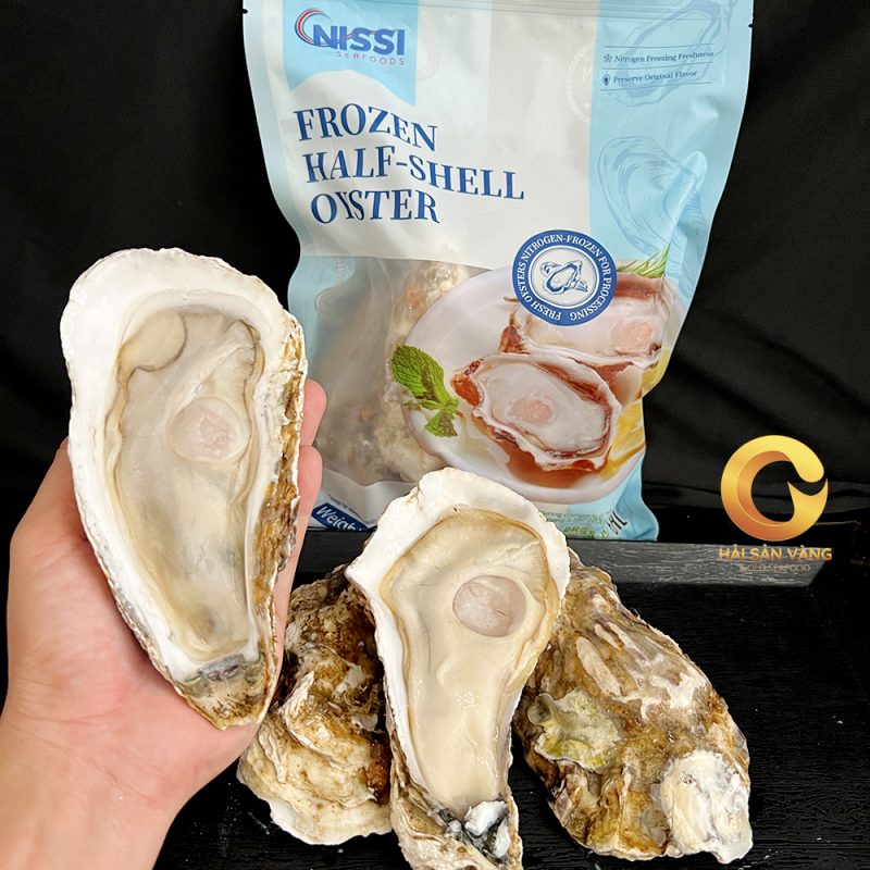 Hàu nhật nữa mãnh