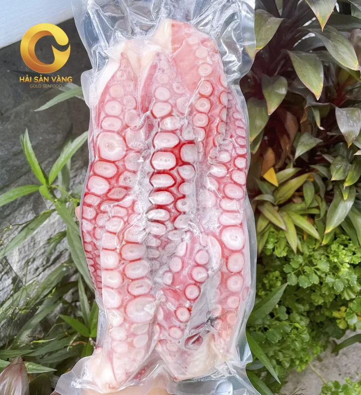 Chân tuộc Nhật