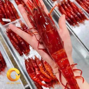 Tôm Đỏ Carabineros