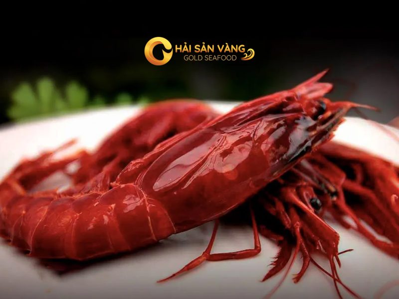 Tôm Đỏ Địa Trung Hải