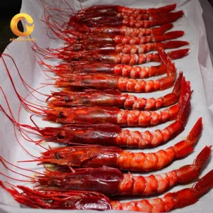 Tôm Đỏ Địa Trung Hải Carabineros