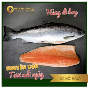 Cá Hồi Nauy Nguyên Con
